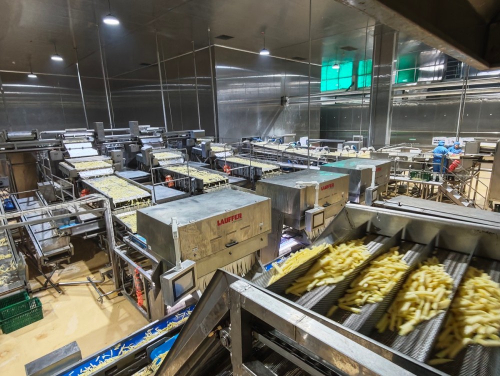 Études de cas réussies des projets intégrés de friture de pommes de terre de Qingdao Shengjia d'une capacité de 8T/h et 3T/h.