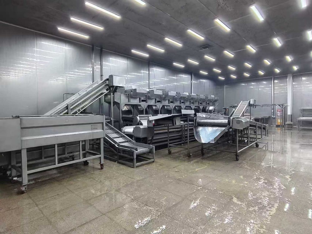Étude de cas réussie du projet de ligne de production de transformation de fruits et légumes de Shandong Santao Food