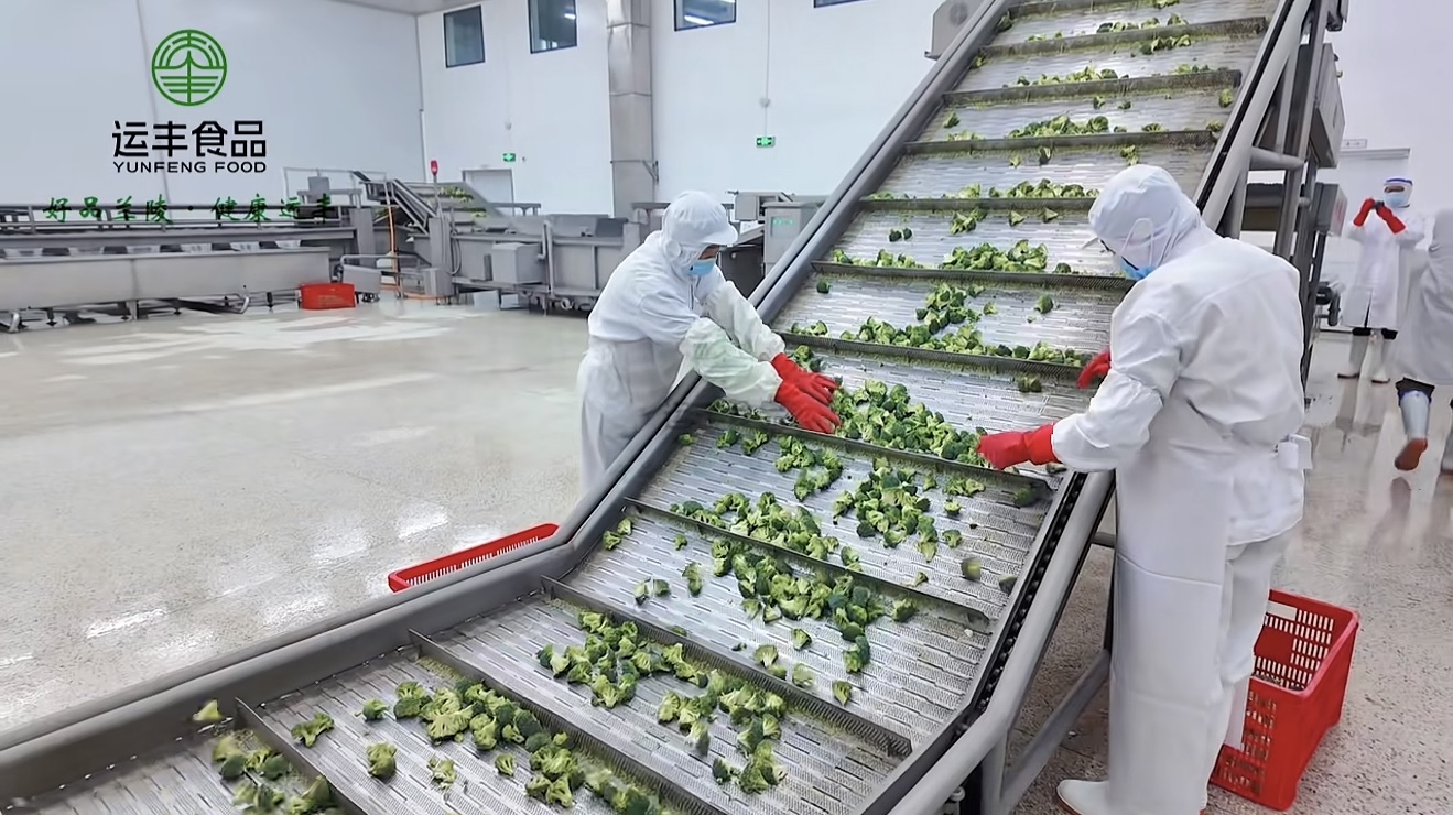 Exemple réussi du projet de légumes surgelés Shandon+g Yunfeng Food
